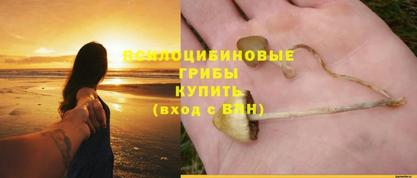 прущий лед Верея