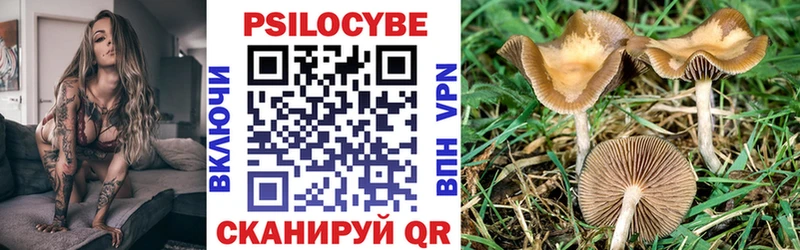 наркошоп  блэк спрут зеркало  Галлюциногенные грибы мухоморы  Георгиевск 